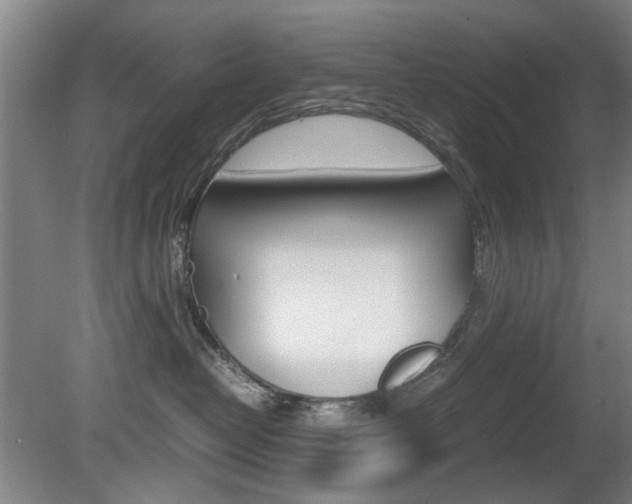 X0000080660382200612150742