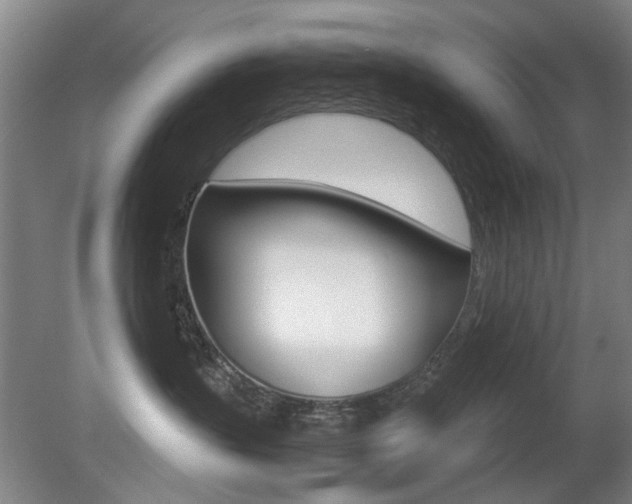 X0000080660383200612150742