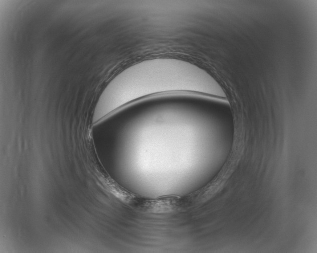 X0000080660384200612150742