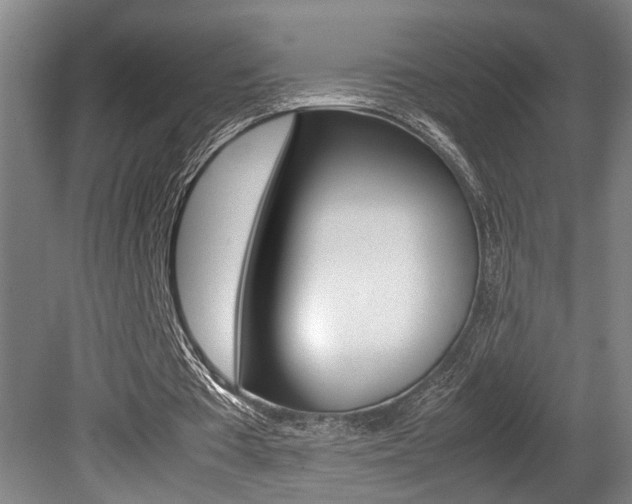 X0000080660385200612150741