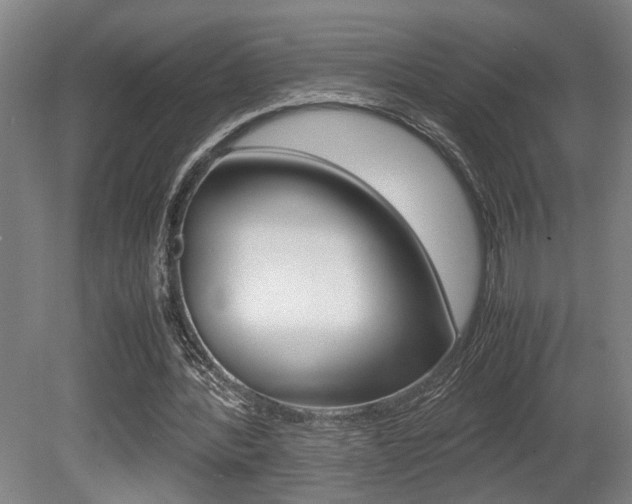X0000080660388200612150741