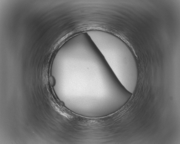 X0000080660390200612150741