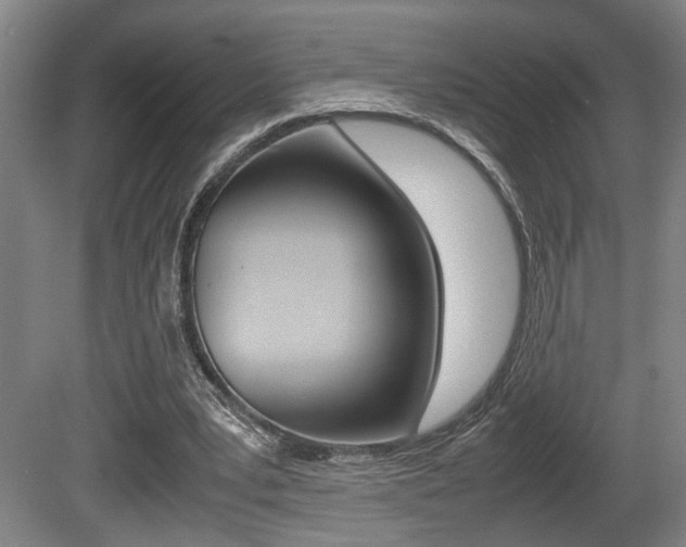 X0000080660391200612150740