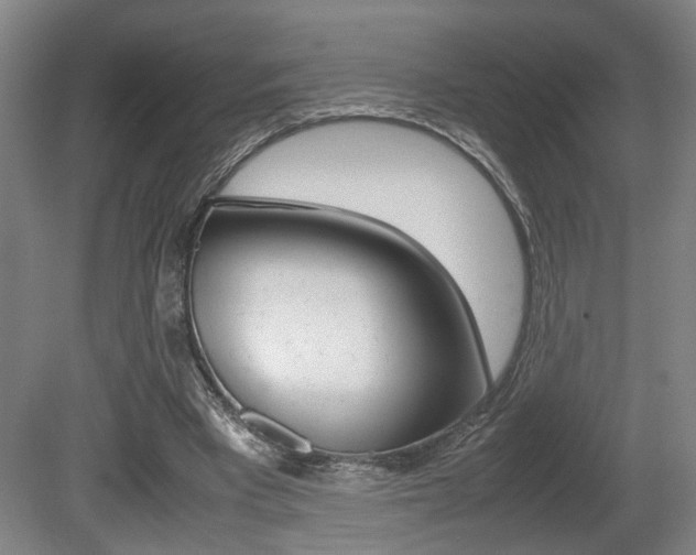 X0000080660393200612150740