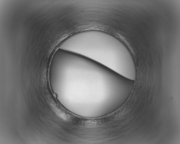 X0000080660394200612150740