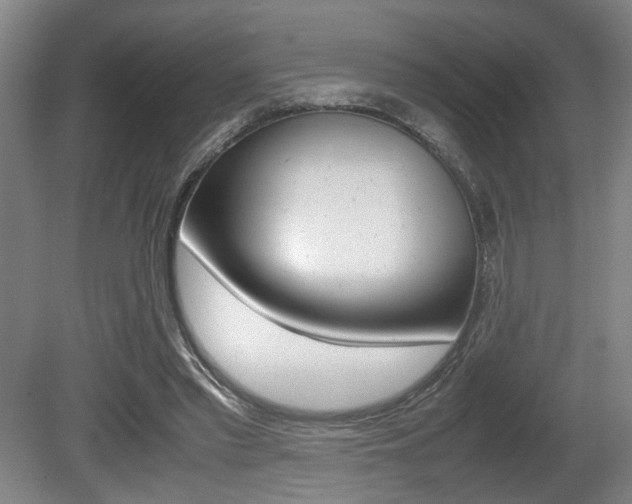 X0000080660397200612150740