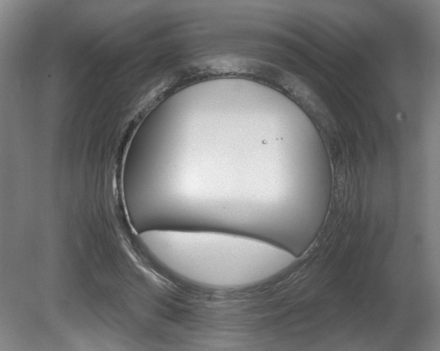 X0000080660398200612150740