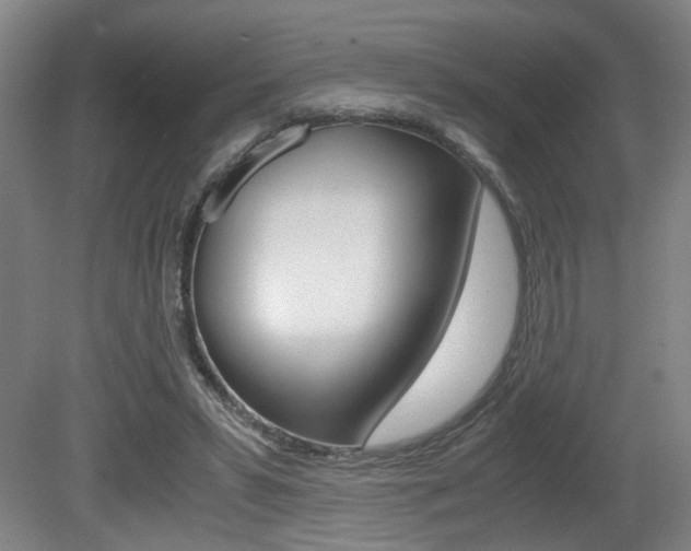 X0000080660399200612150740