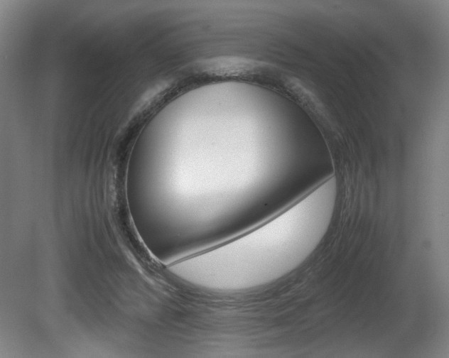 X0000080660400200612150740