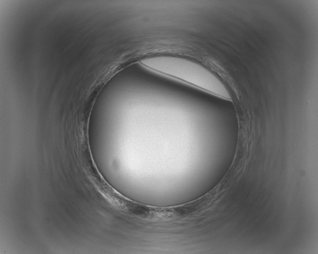 X0000080660401200612150740