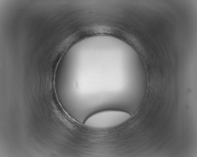 X0000080660402200612150740