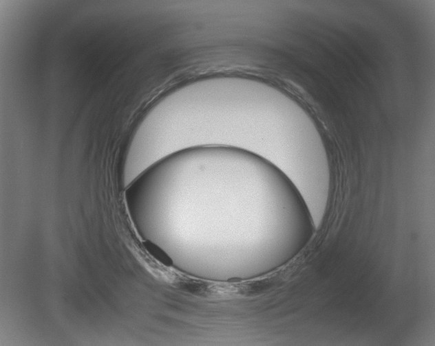 X0000080660405200612150740