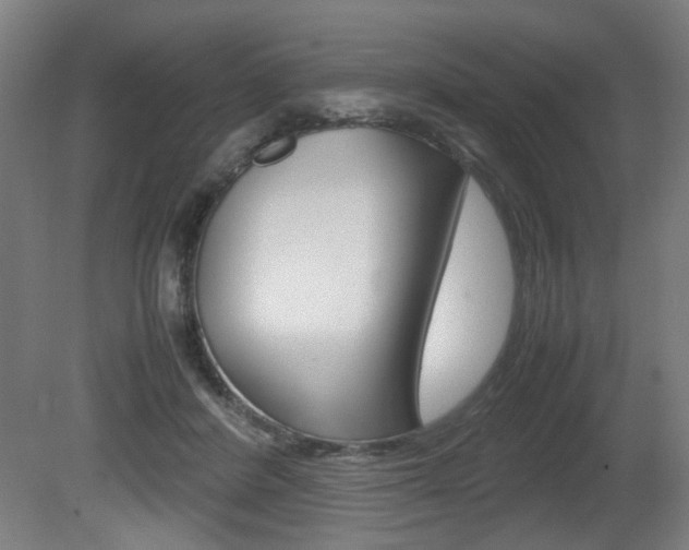 X0000080660408200612150740