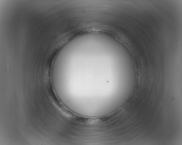 X0000080660410200612150740