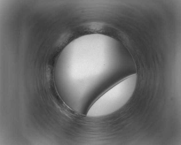 X0000080660412200612150740