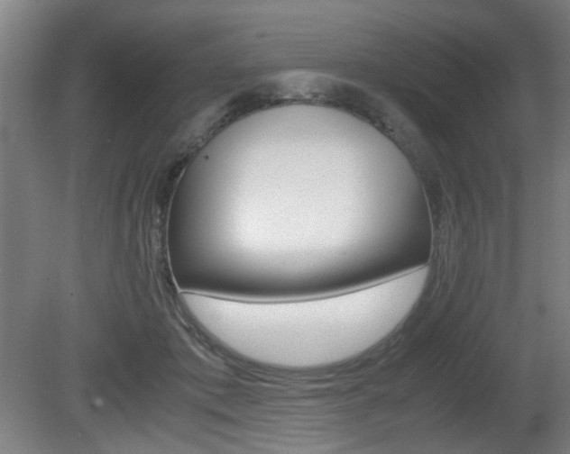 X0000080660413200612150740