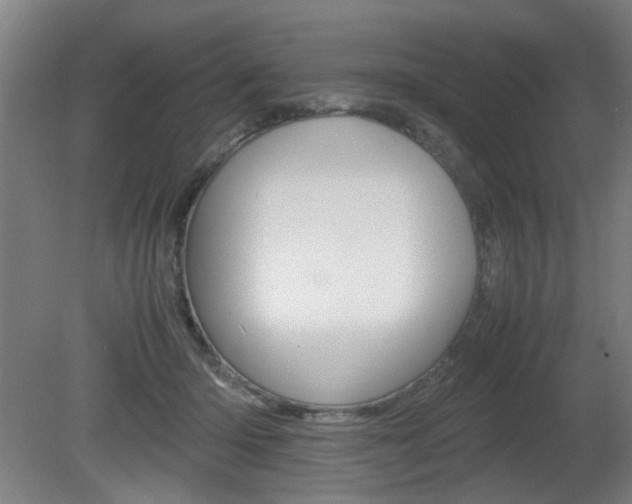 X0000080660414200612150740