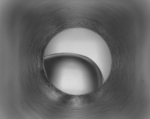 X0000080660416200612150740