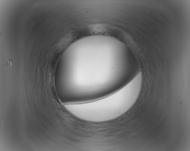 X0000080660417200612150740