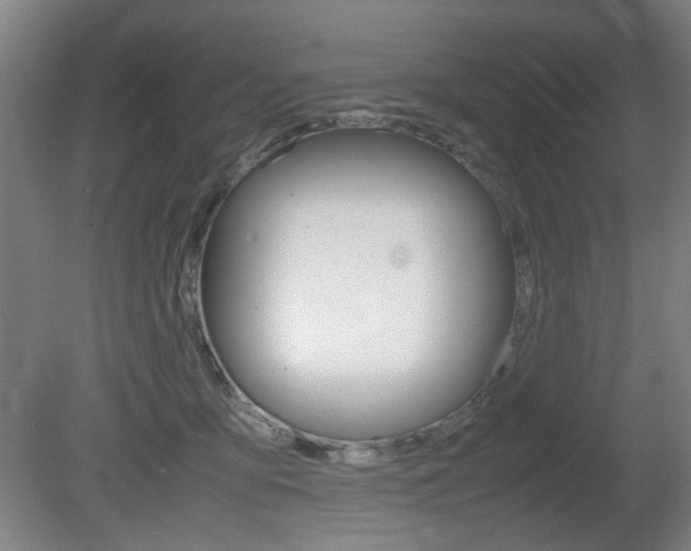 X0000080660419200612150740