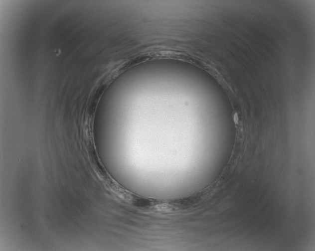 X0000080660423200612150740