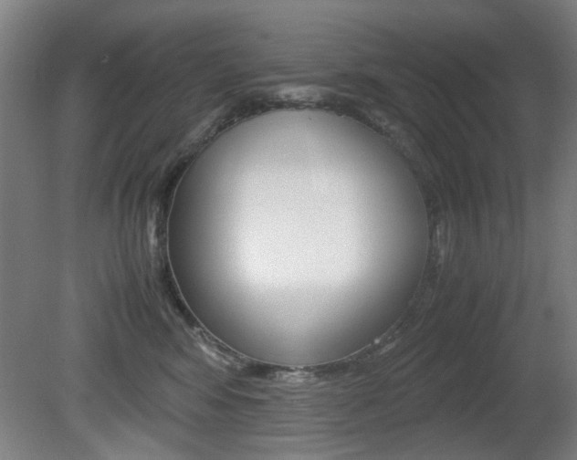 X0000080660424200612150740