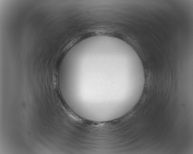 X0000080660430200612150740