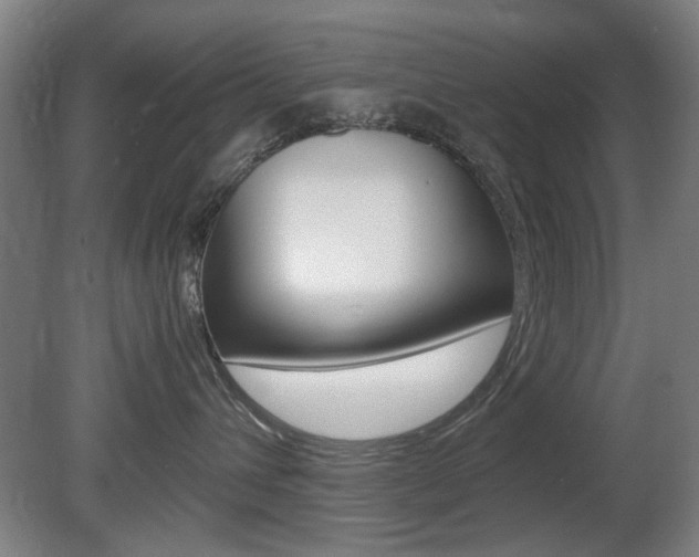 X0000080660432200612150740