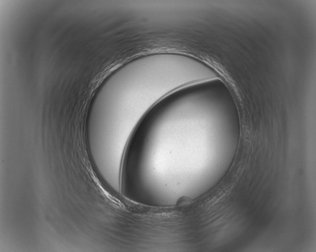 X0000080660433200612150739