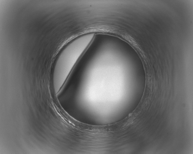 X0000080660434200612150739