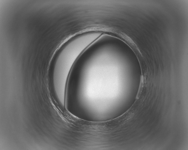 X0000080660436200612150739