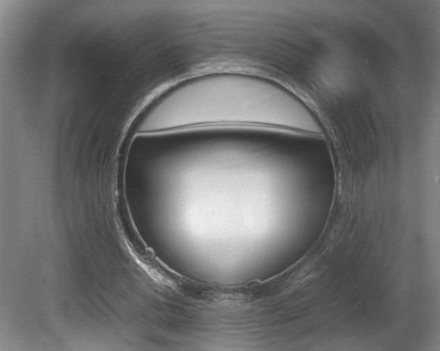 X0000080660438200612150739