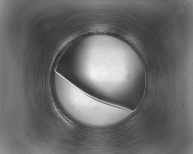 X0000080660439200612150739