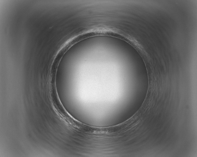 X0000080660440200612150739