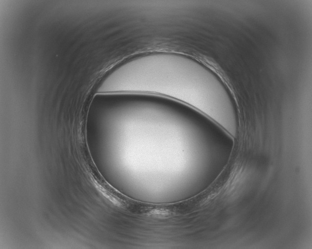 X0000080660441200612150739
