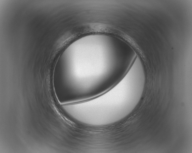X0000080660442200612150739