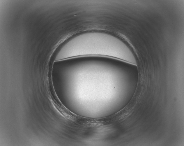 X0000080660443200612150739