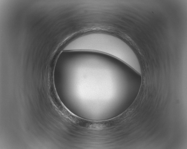 X0000080660444200612150739