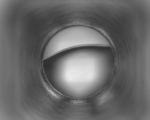X0000080660445200612150739