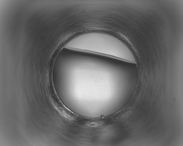 X0000080660447200612150739