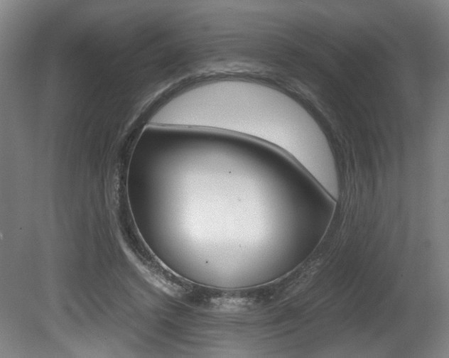 X0000080660448200612150739