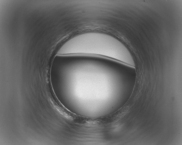 X0000080660450200612150739