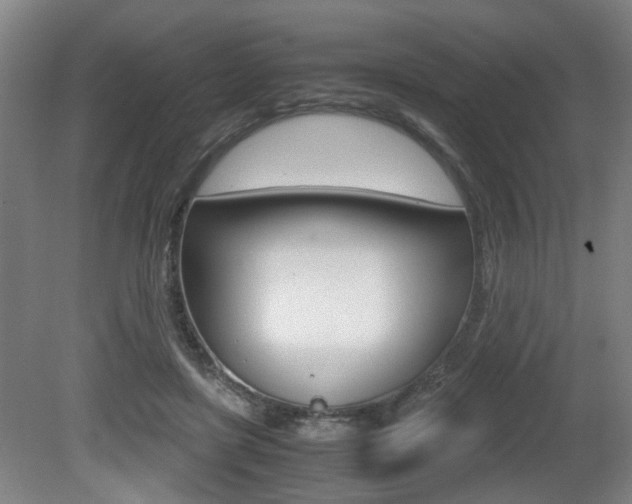 X0000080660451200612150739