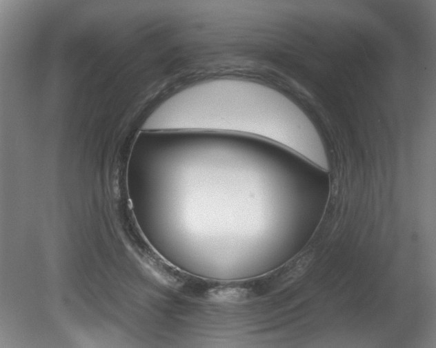X0000080660452200612150739