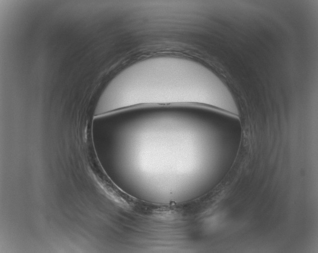 X0000080660454200612150739
