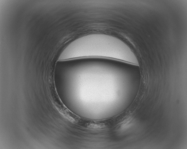 X0000080660455200612150739