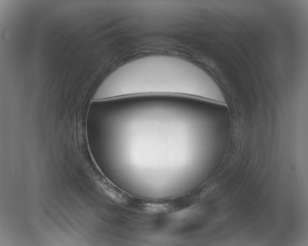 X0000080660457200612150739