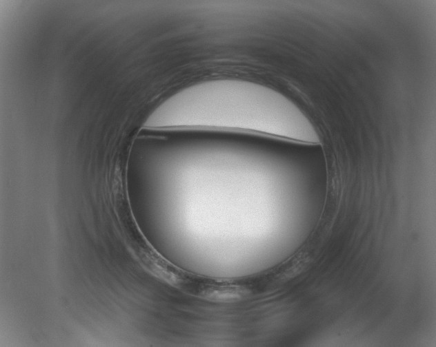 X0000080660459200612150739