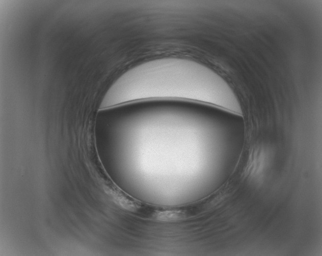 X0000080660461200612150739
