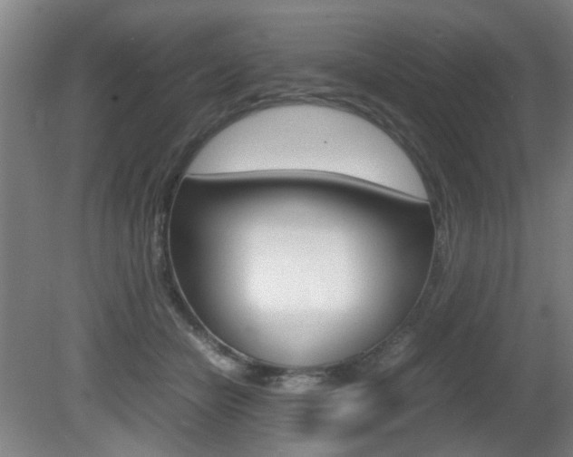 X0000080660462200612150739